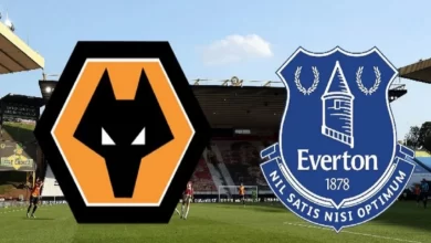 Free prediction for the match for Wolverhampton - Everton
